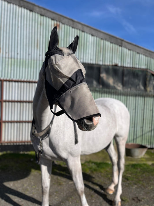 Beat The Bugs: The Fly Mask Every Horse Deserves